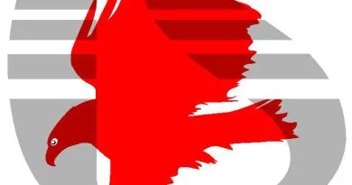 Eagle CAD